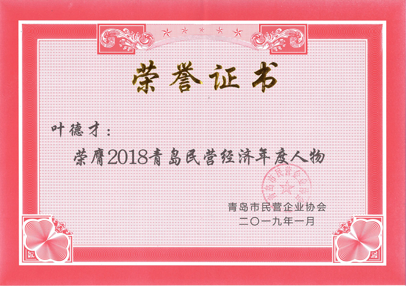 民营企业高质量发展,德才集团再获殊荣领跑民企(图7) 民营企业高质量发展,德才集团再获殊荣领跑民企(图7)