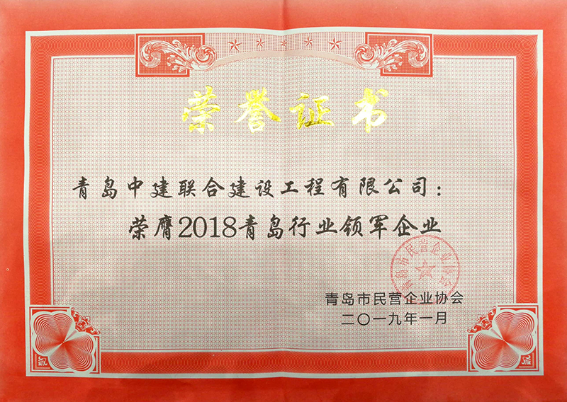 民营企业高质量发展,德才集团再获殊荣领跑民企(图8) 民营企业高质量发展,德才集团再获殊荣领跑民企(图8)